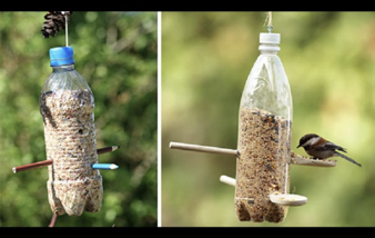 Bird Feeder