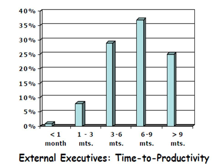 External Executives