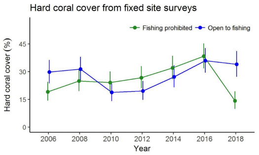 Hard Coral