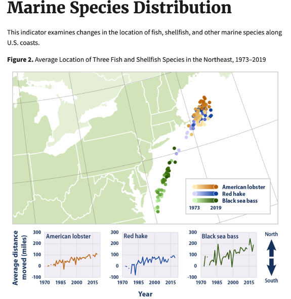 Marine Species