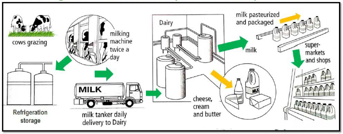 Milk Production