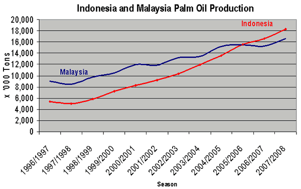 Palm Oil Production