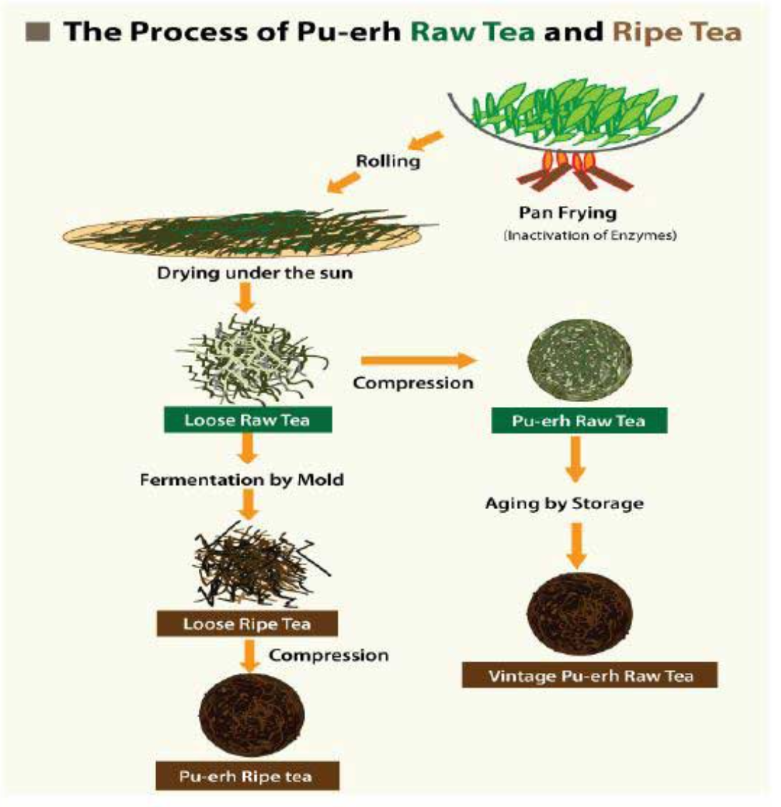 Raw&amp;Ripe Tea