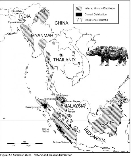 Rhino Distribution