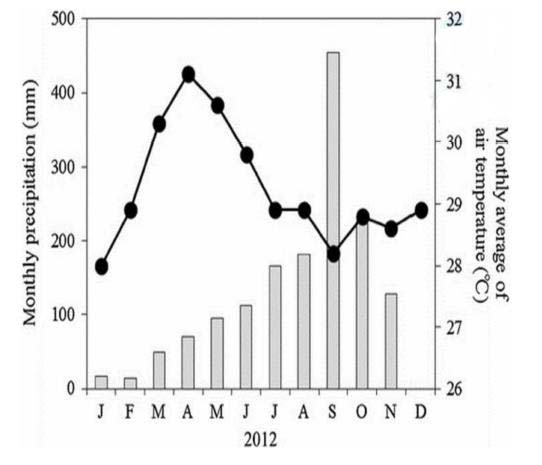 Temperature&amp;Precipitation 1