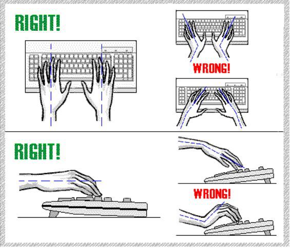 Typing Hands