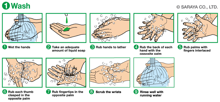 Wash Your Hands