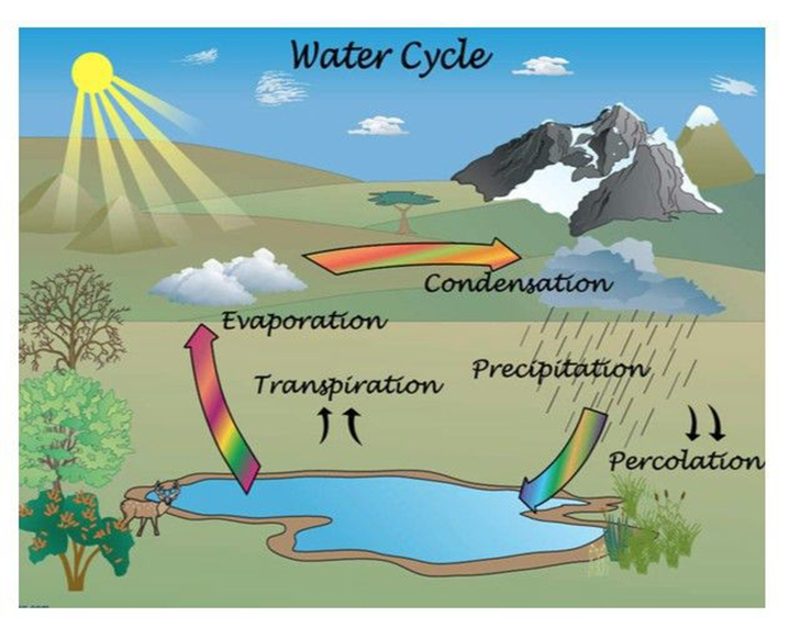 Water Cycle 1