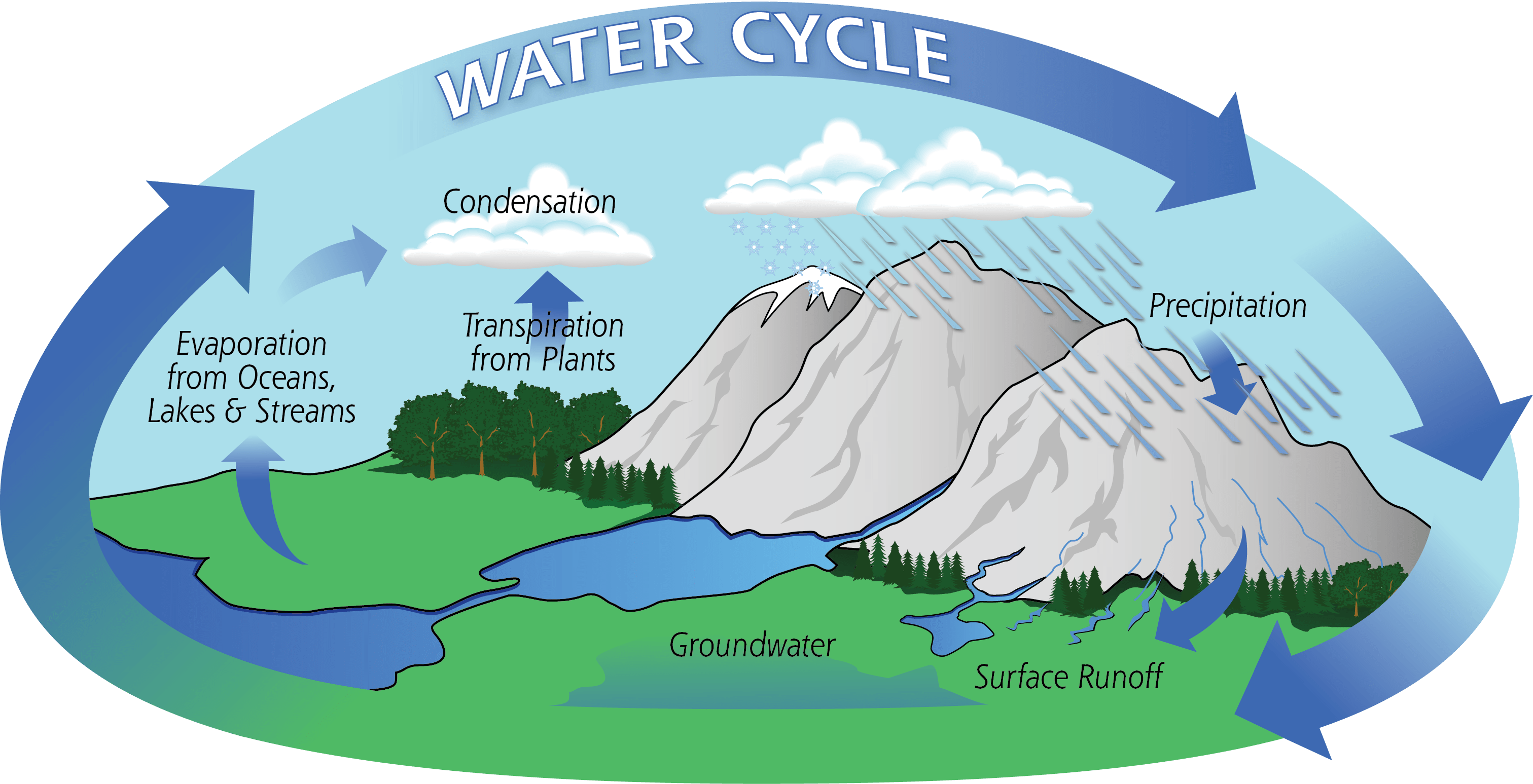 Water Cycle 3