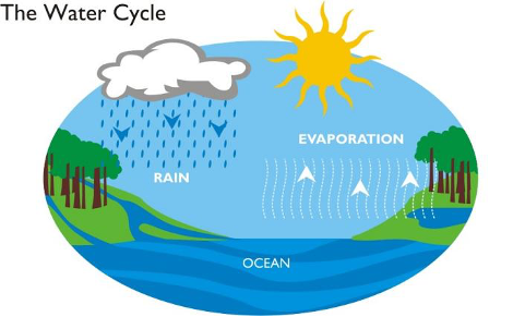 Water Cycle 5